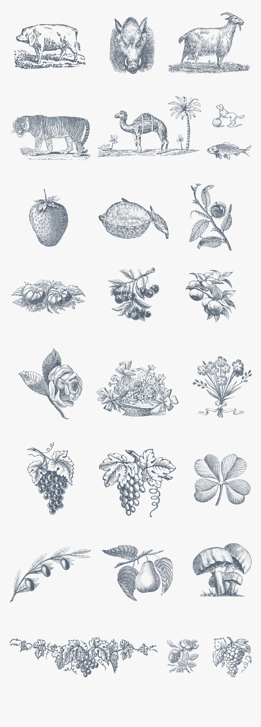 Flowers Vintage Vector Png, Transparent Png, Free Download