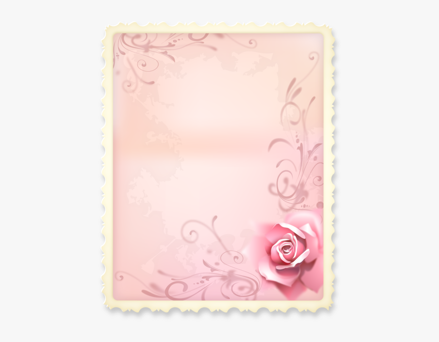 Garden Roses, HD Png Download, Free Download