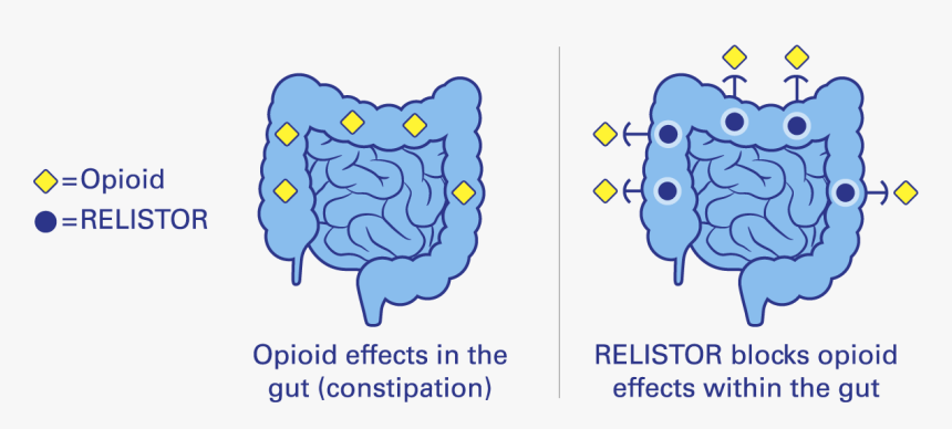 Relistor Prevents Opioid Effects, HD Png Download, Free Download