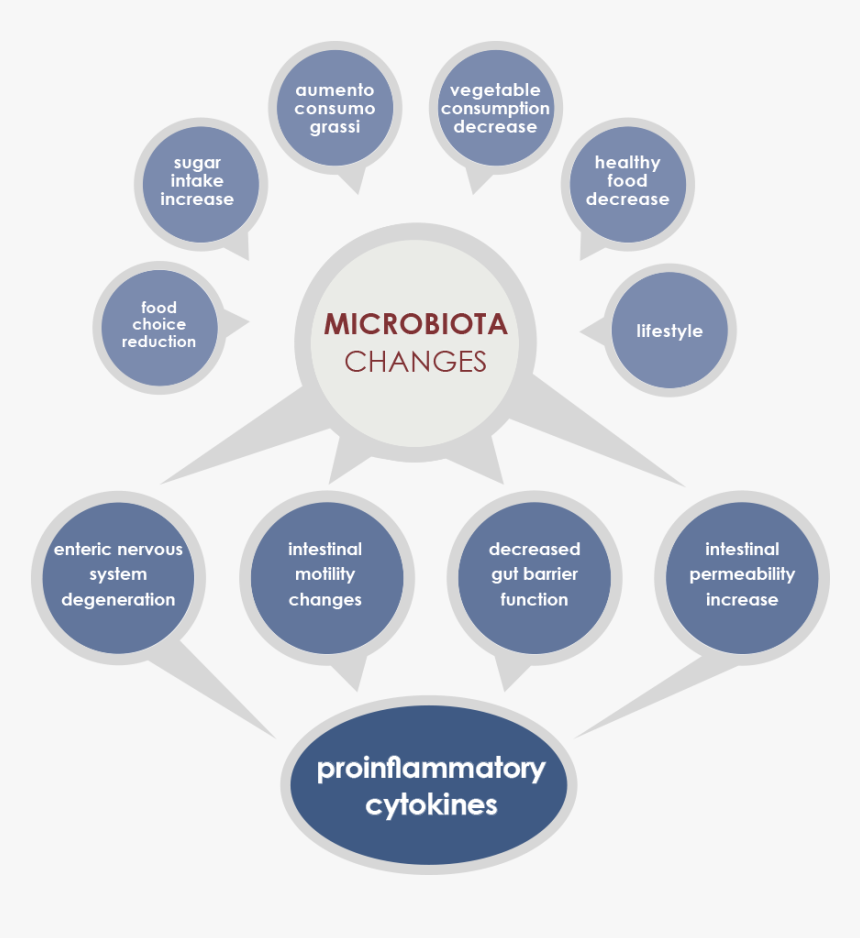 Circle, HD Png Download, Free Download