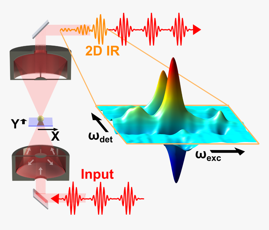 Transient 2d Ir Spectroscopy - Two Dimensional Infrared Spectroscopy 2d Ir, HD Png Download, Free Download