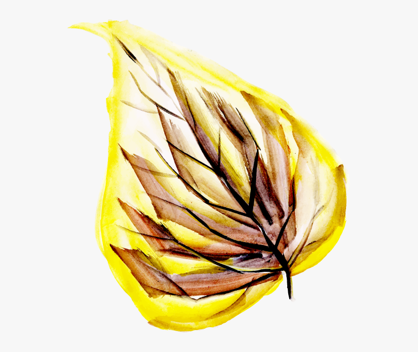 Close-up, HD Png Download, Free Download