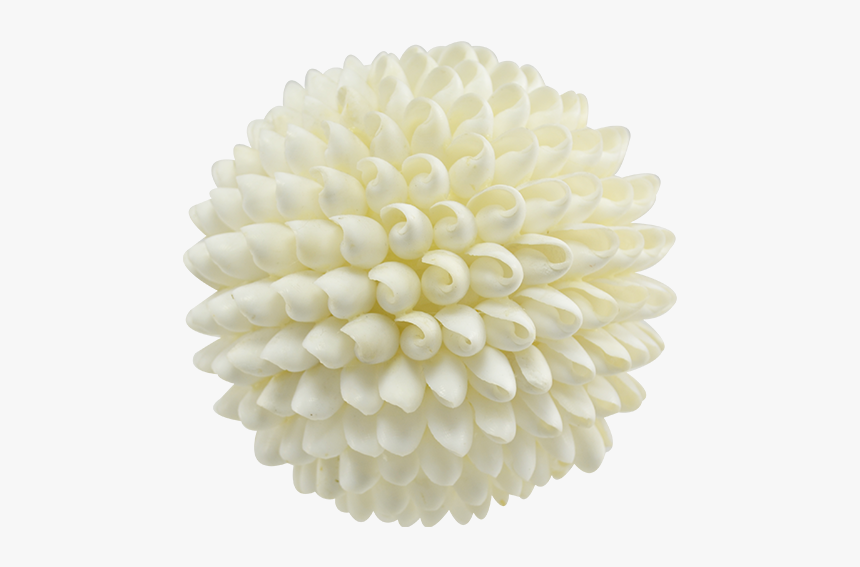 Shell Ball Bubble Shells 4" - White Shell Balls, HD Png Download, Free Download