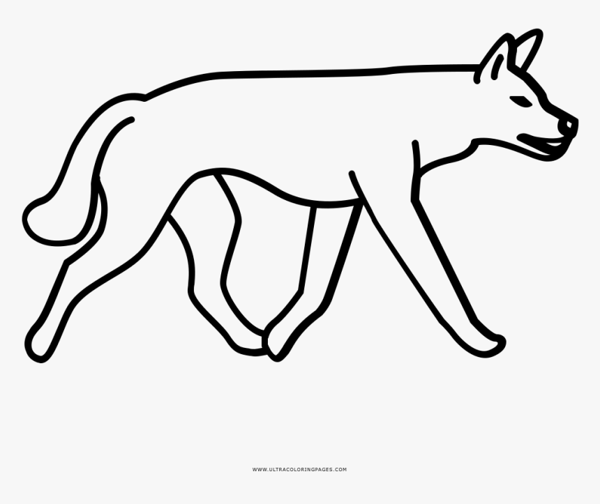 Dingo Coloring Page - Dingo Icon Transparent, HD Png Download, Free Download