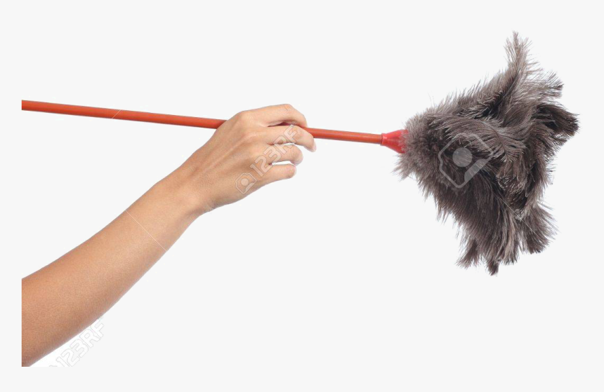 Hand Holding Feather Duster, HD Png Download, Free Download