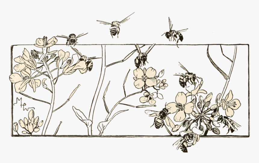 Flower Vintage Png, Transparent Png, Free Download