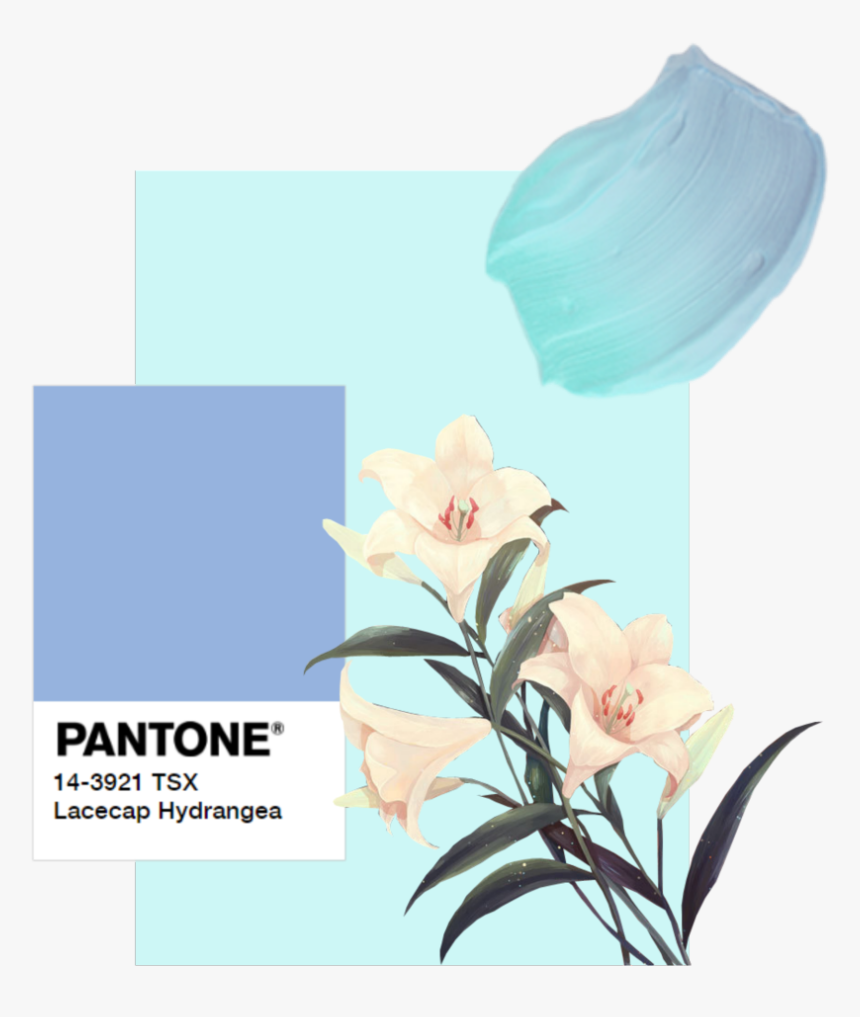 #blueaesthetic #aesthetic #flower #vintage #blue #pantone - Garden Roses, HD Png Download, Free Download