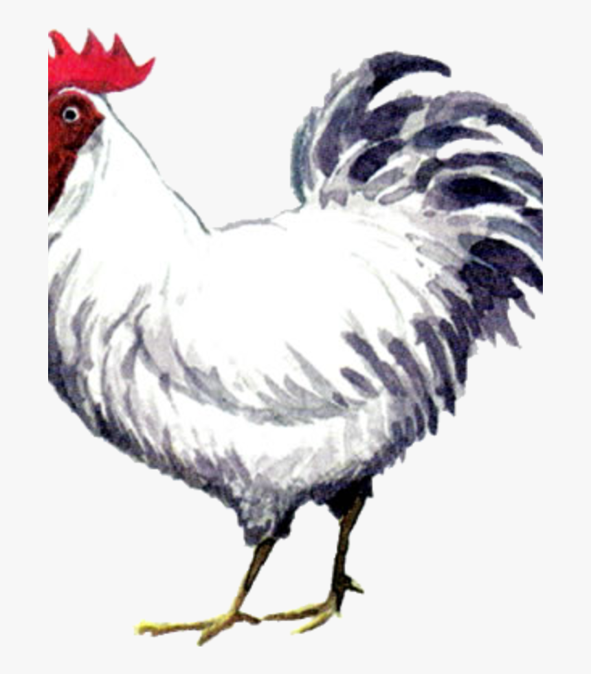 Zeldapedia - Cucco Zelda, HD Png Download, Free Download