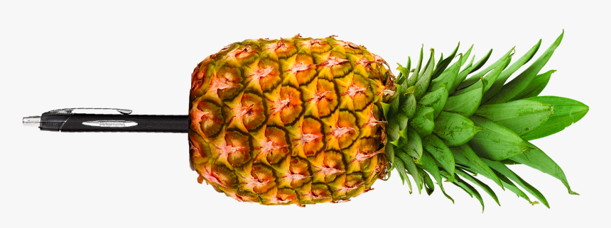 Pineapple Pen Png, Transparent Png, Free Download