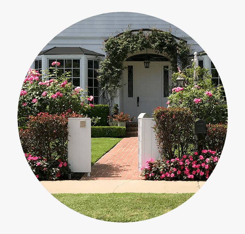 Plant Collections Classic - Rhododendron, HD Png Download, Free Download