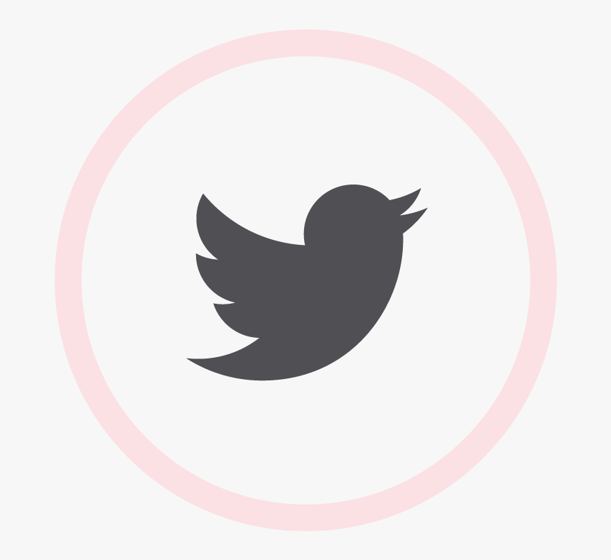 Logo Twitter Rojo Png, Transparent Png, Free Download