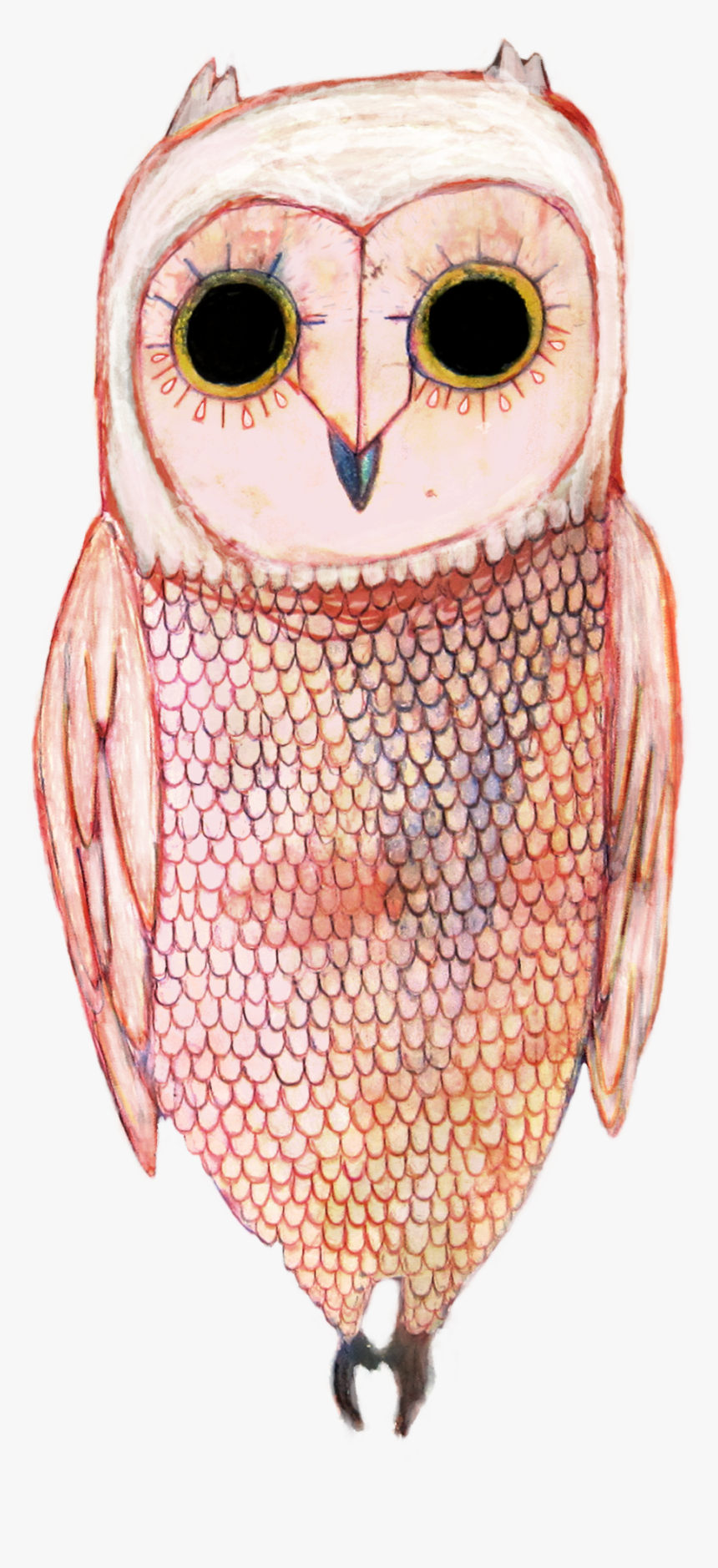 White Owl Png , Png Download, Transparent Png, Free Download