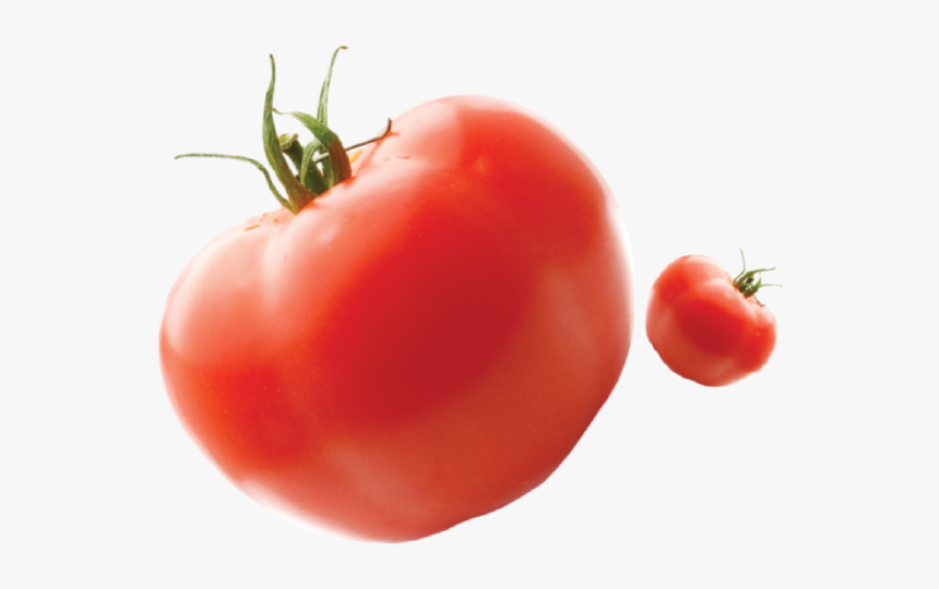 Felfel - Plum Tomato, HD Png Download, Free Download