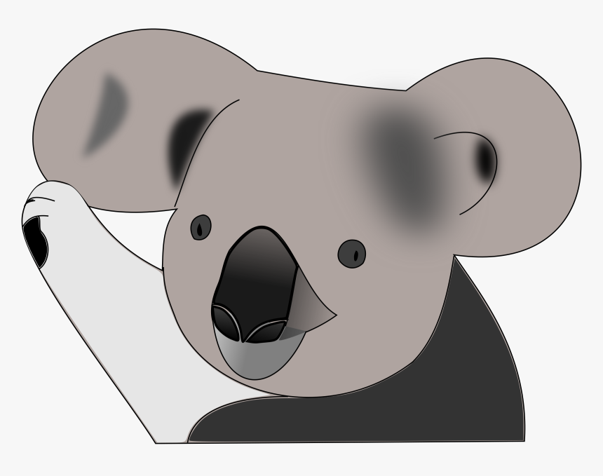 Koala Face Png - Koala And Cat Cartoon, Transparent Png, Free Download
