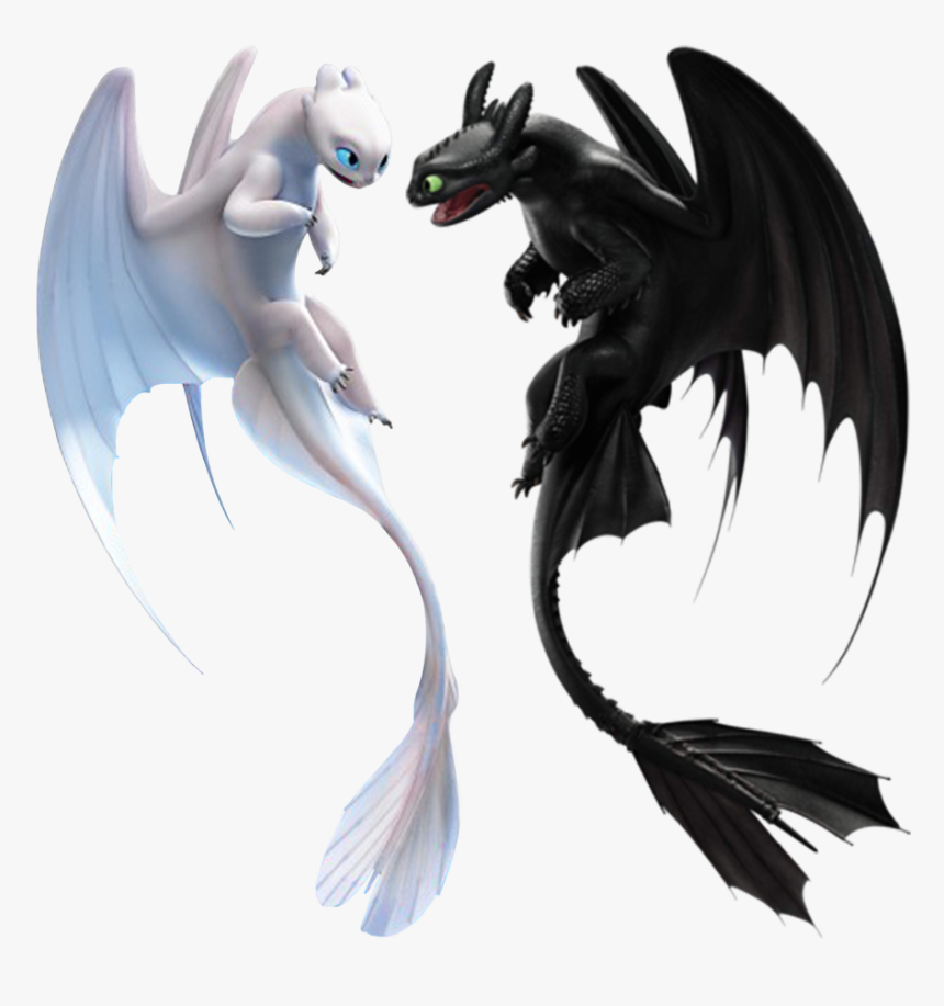 Night Fury Png - Toothless And Light Fury, Transparent Png, Free Download