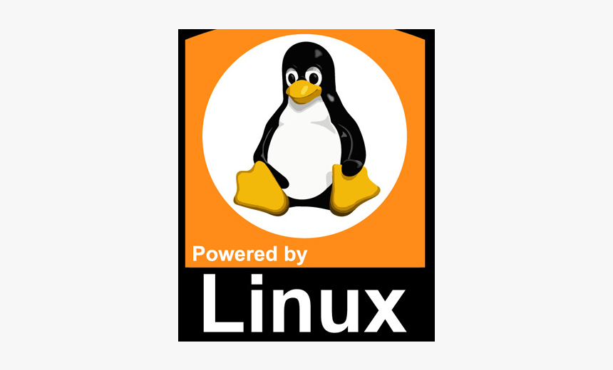 Linux Penguin, HD Png Download, Free Download