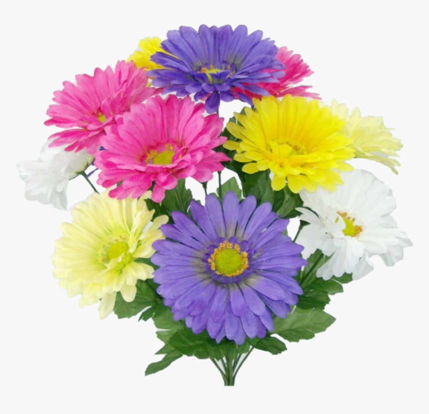 19, HD Png Download, Free Download