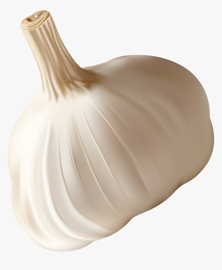 Garlic, HD Png Download, Free Download