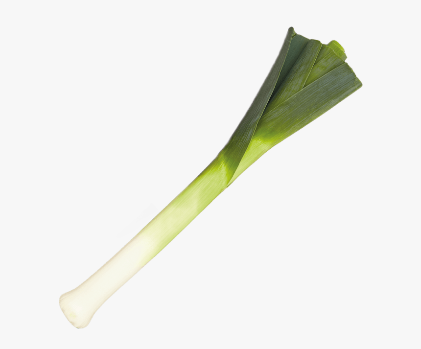 Leek Png Transparent Background - Leek Transparent Background, Png Download, Free Download