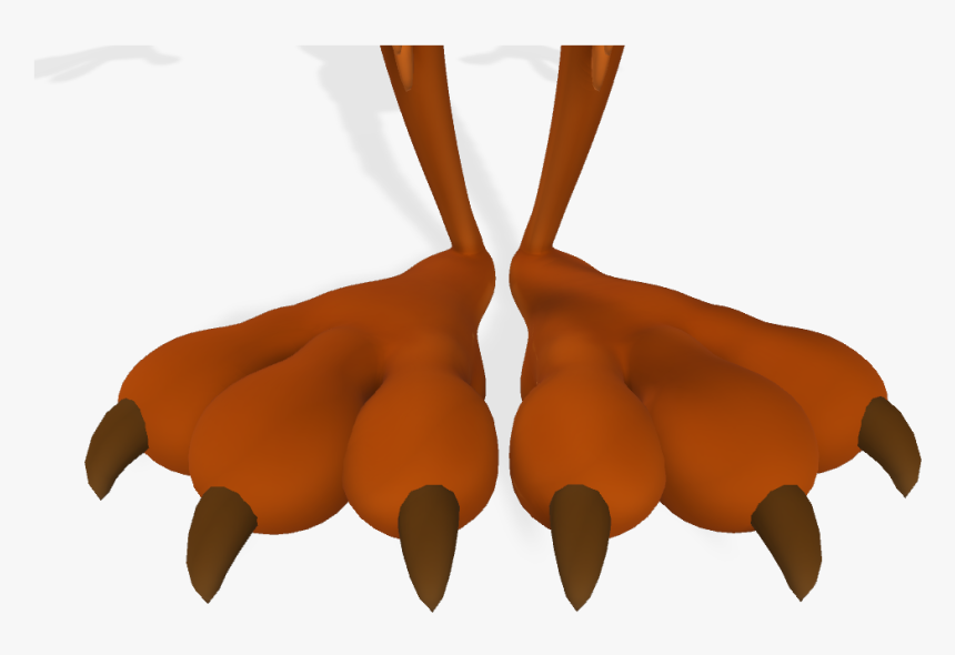 Coyote Feet Close Up 3d - Illustration, HD Png Download, Free Download