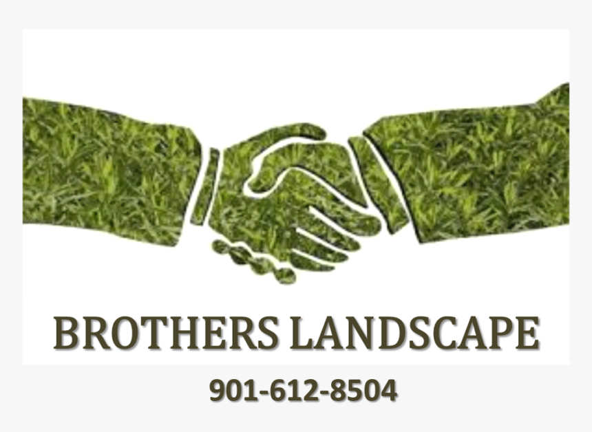 Brothers Landscape Logo - Brothers Landscape Llc, HD Png Download, Free Download