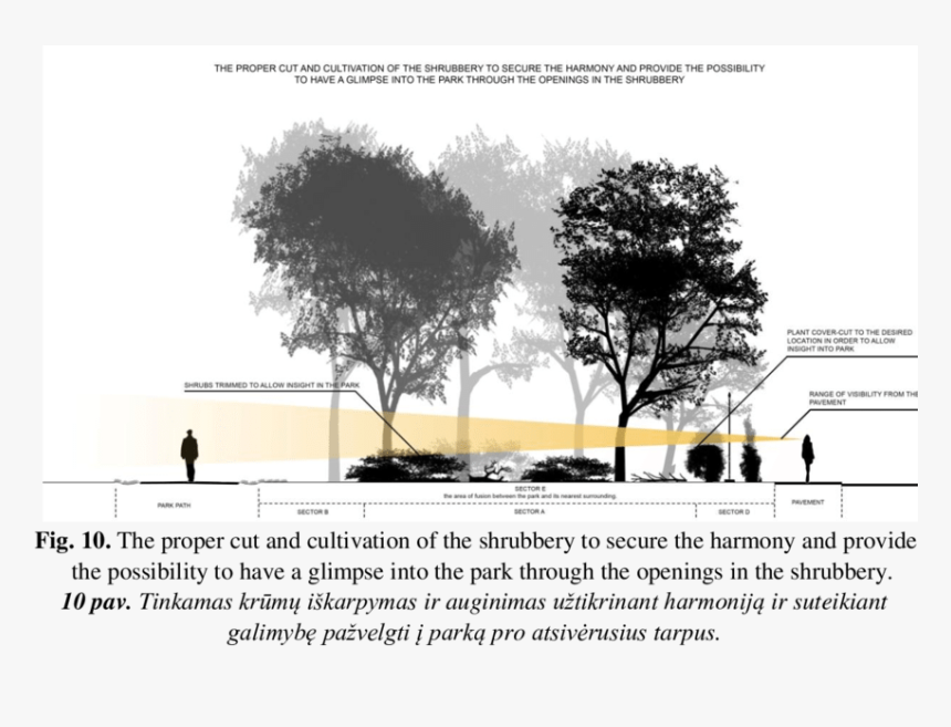 Confined And Narrowed View When Poor Trimming Of The - Tree, HD Png Download, Free Download