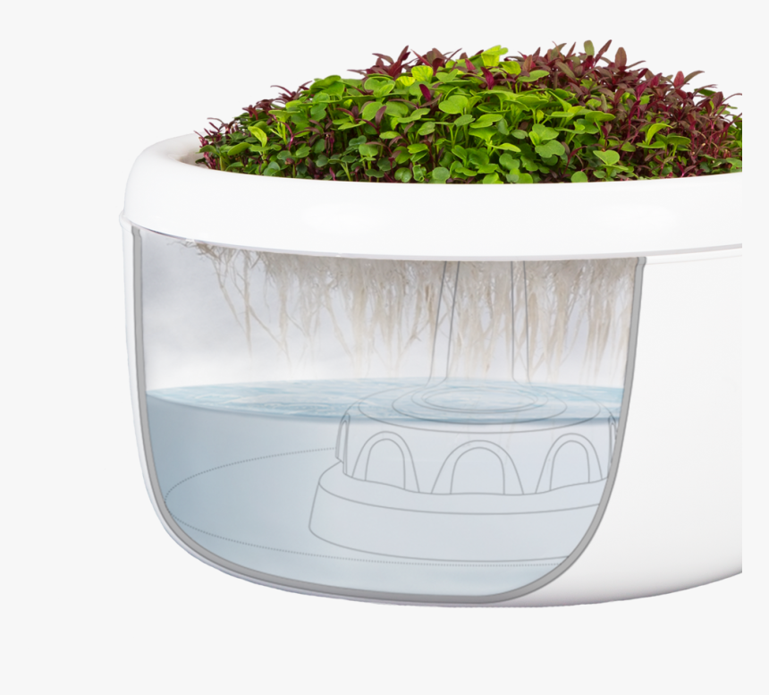 Hh Basin, HD Png Download, Free Download