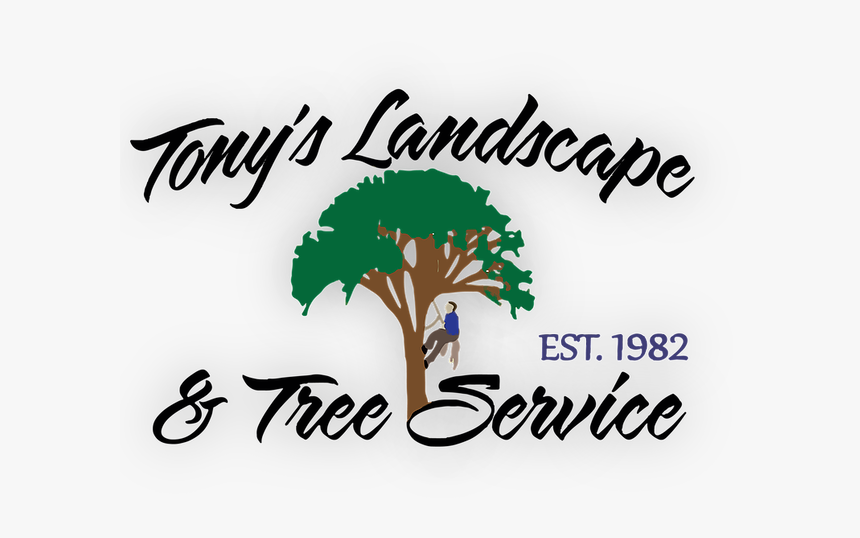 Tree, HD Png Download, Free Download