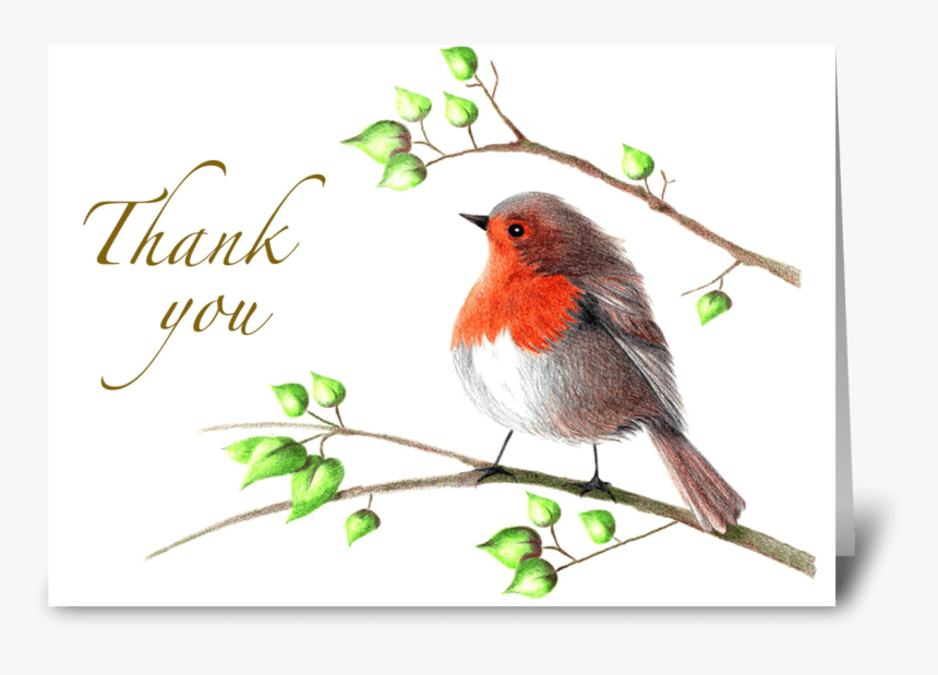 English Robin Greeting Card - European Robin, HD Png Download, Free Download