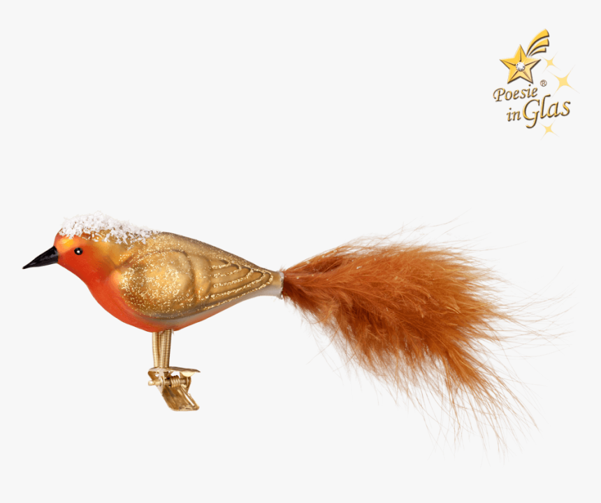 Robin On Clip - European Robin, HD Png Download, Free Download