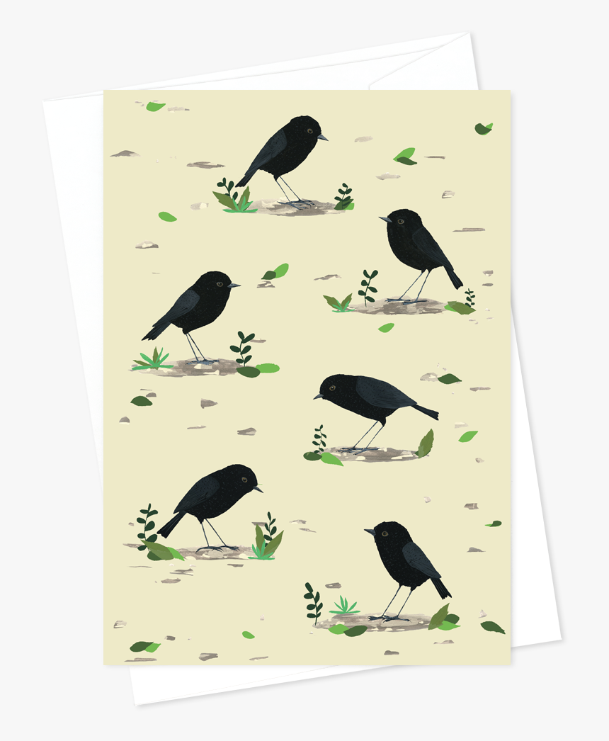 Card And Envelope Rare Birds Black Robin - Illustration, HD Png Download, Free Download
