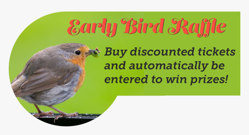 Early Bird, Adh Image For Blog - European Robin, HD Png Download, Free Download