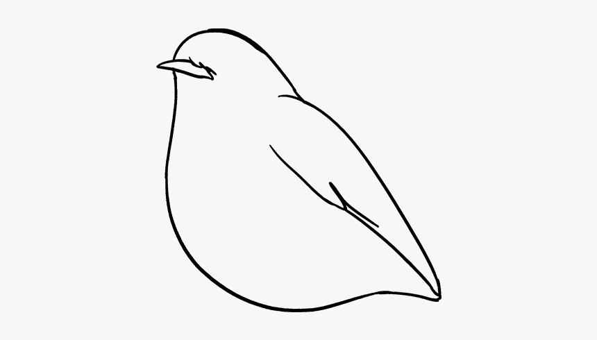 How To Draw Robin - Line Art, HD Png Download, Free Download