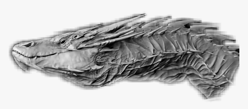 #smaug - Monochrome, HD Png Download, Free Download