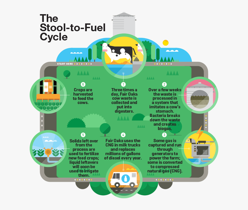 Man Illo - Manure Cycle At Fair Oaks, HD Png Download, Free Download