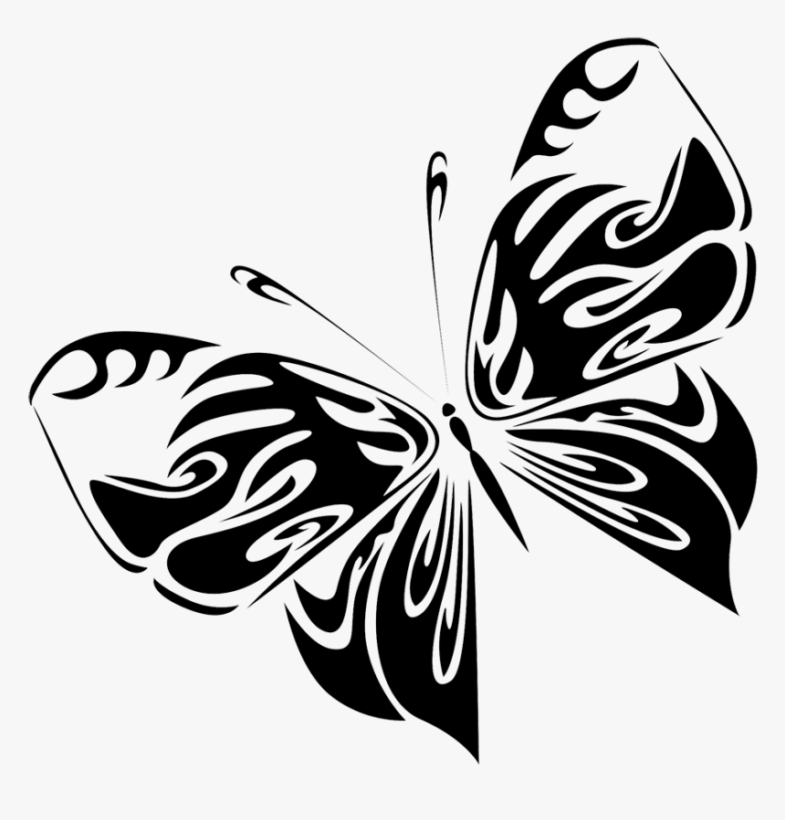 Black Butterfly Drawing Png - Brush-footed Butterfly, Transparent Png, Free Download