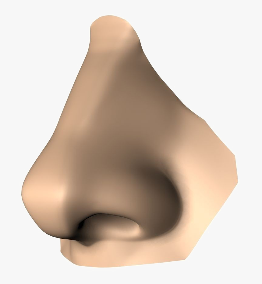 Nose Png High-quality Image - Nose Sniff, Transparent Png, Free Download