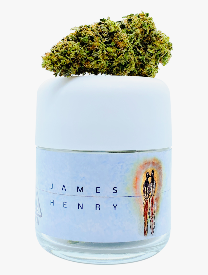 Jameshenryflowerjar, HD Png Download, Free Download