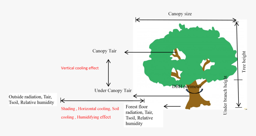 Schematic Of The Various Microclimate Parameter Measurements - Microclimate Tree, HD Png Download, Free Download