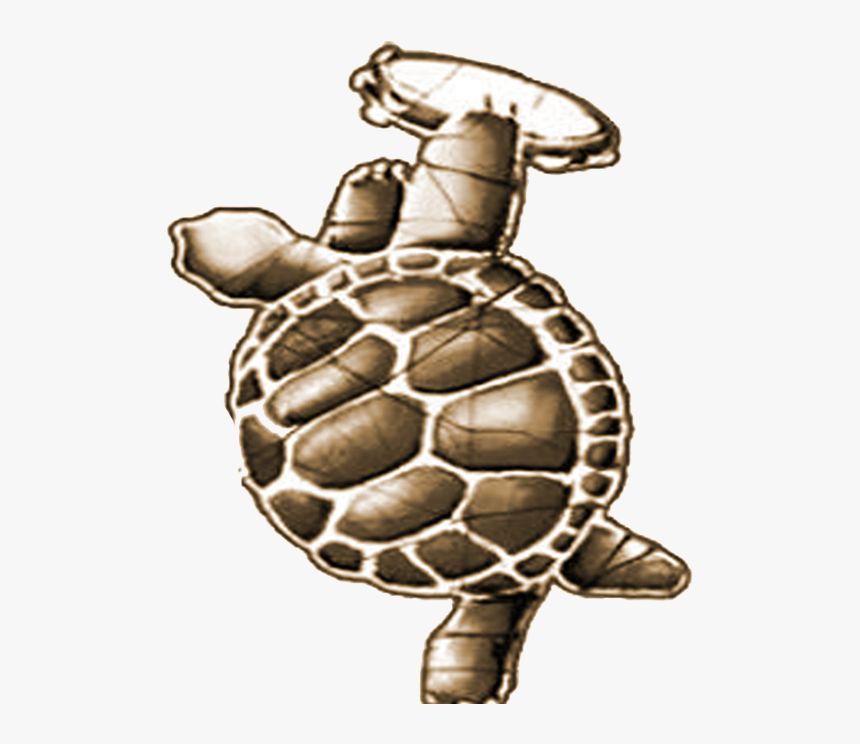Turtle 1 - Terrapin Station Sticker, HD Png Download, Free Download