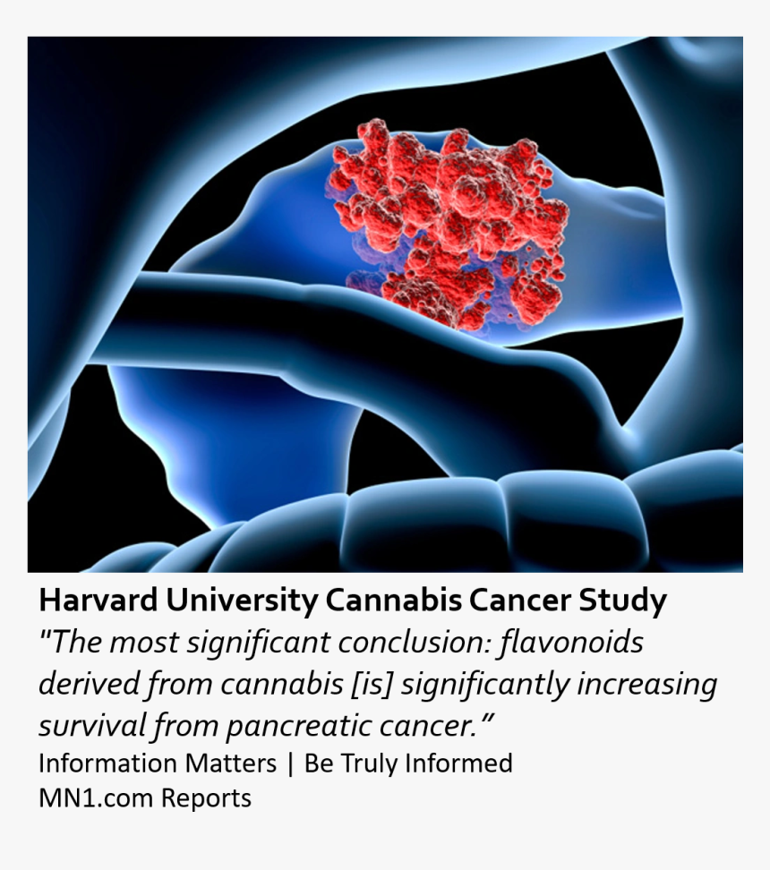 Sintomas Cancro Pâncreas, HD Png Download, Free Download