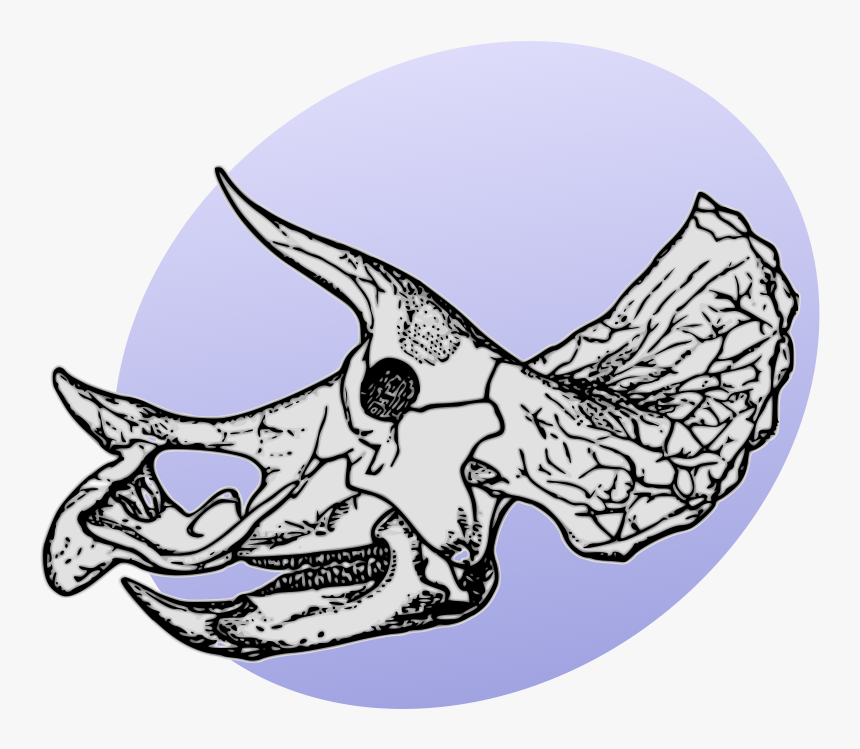 P Dinosaurs Pl - Triceratops Skeleton, HD Png Download, Free Download