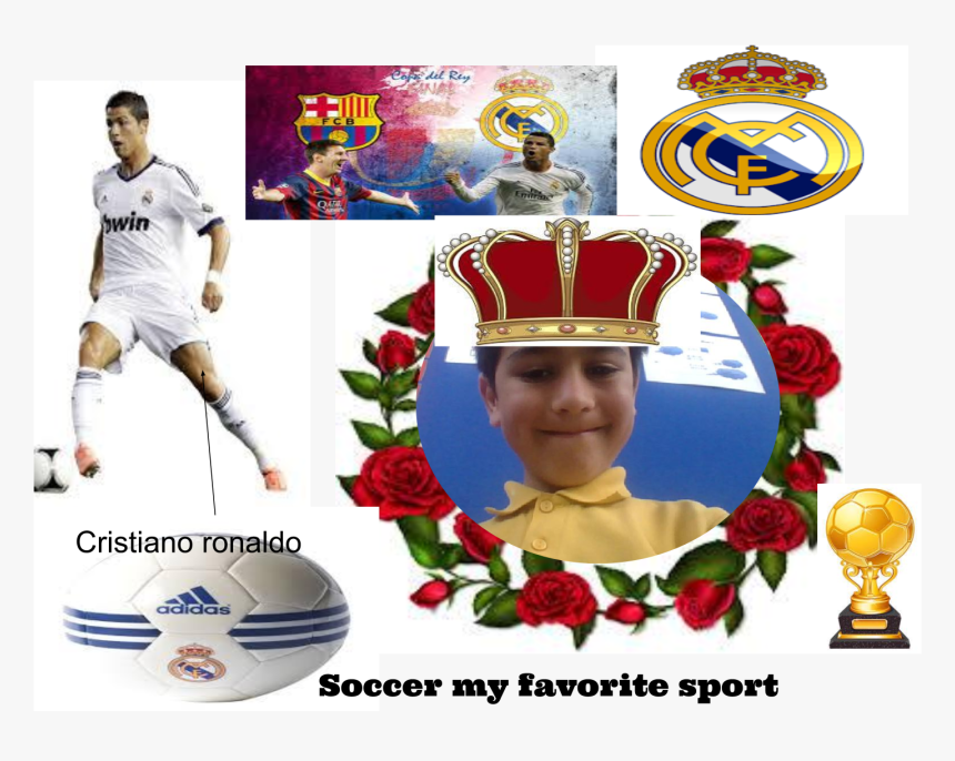 Funny Pngs, Transparent Png, Free Download