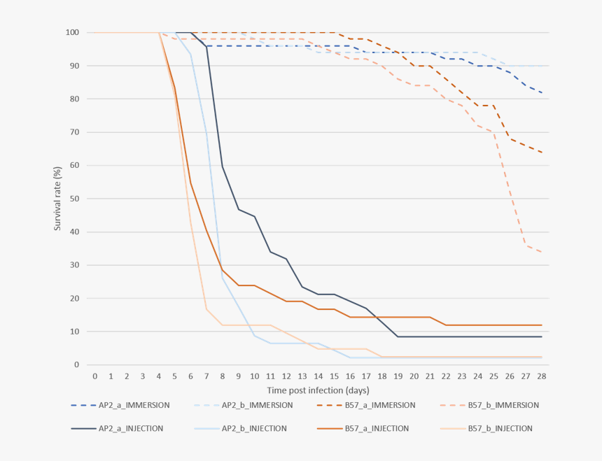 Plot, HD Png Download, Free Download