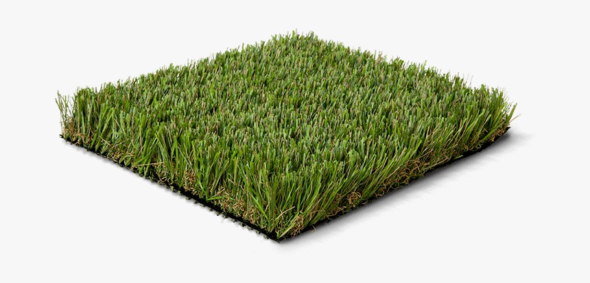 Turf, HD Png Download, Free Download