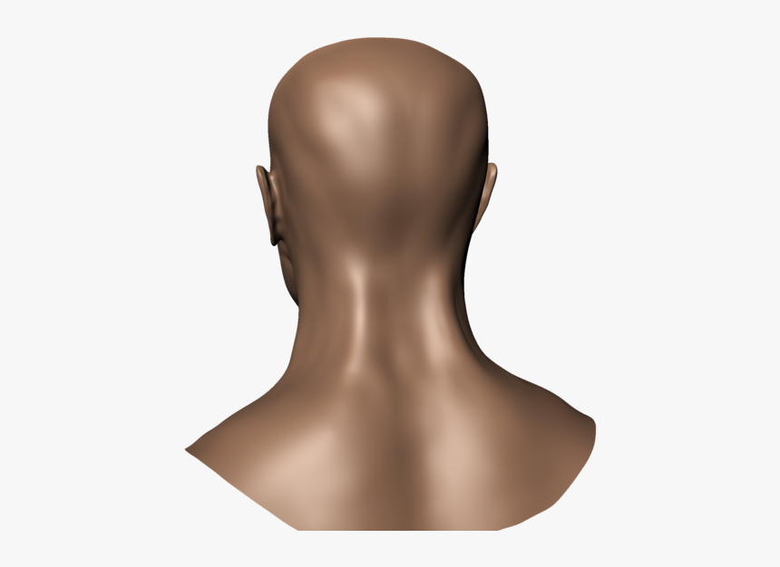 Thumb Image - Human Head Back Side, HD Png Download, Free Download