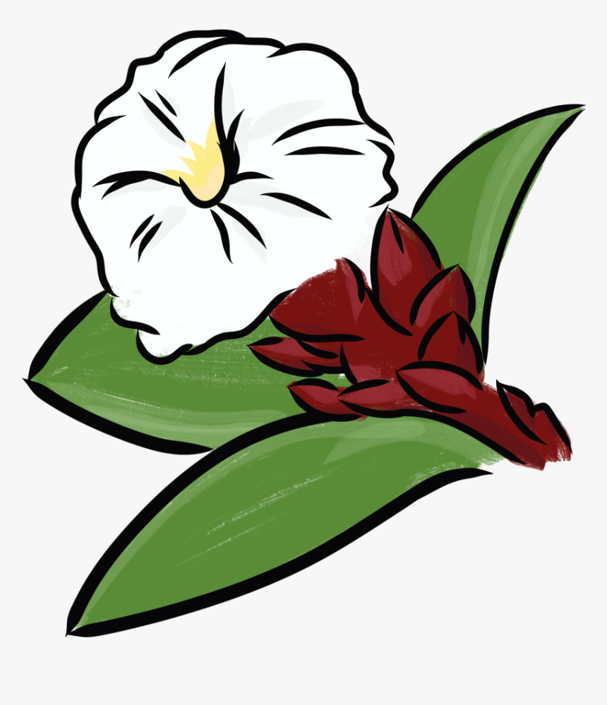 Crepe-ginger Clipart , Png Download, Transparent Png, Free Download