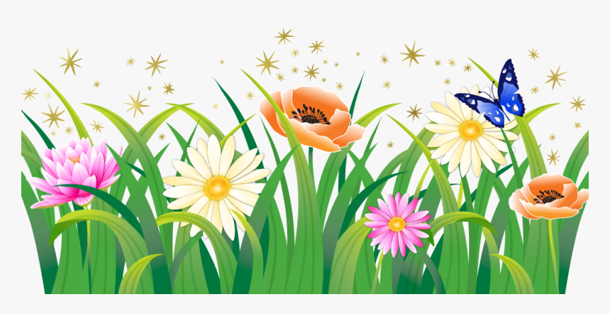 Transparent Flower Garden Png - Marguerite Daisy, Png Download, Free Download