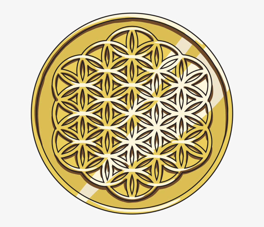 Seed Coin - Circle, HD Png Download, Free Download