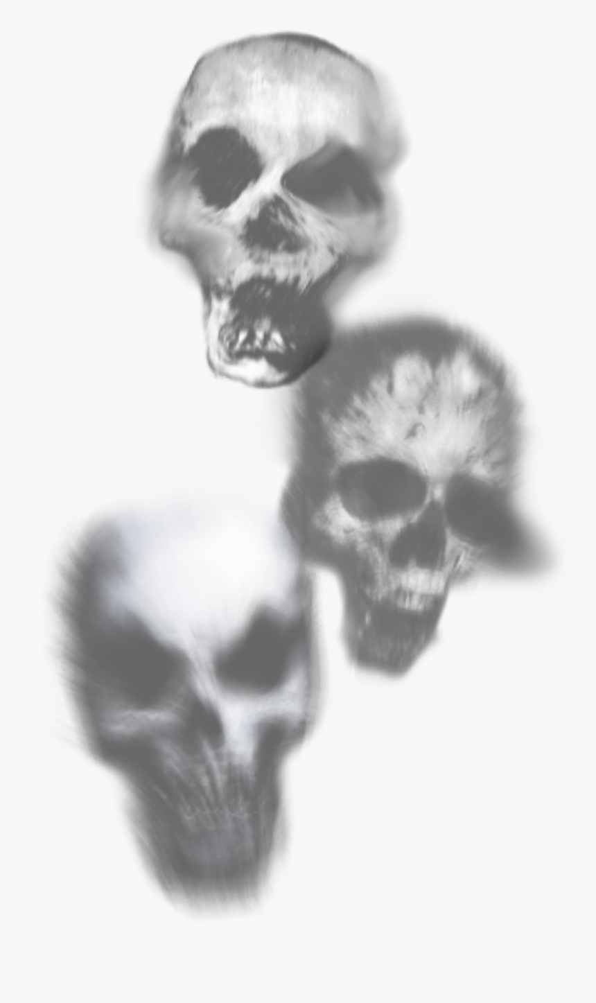 Skull, HD Png Download, Free Download